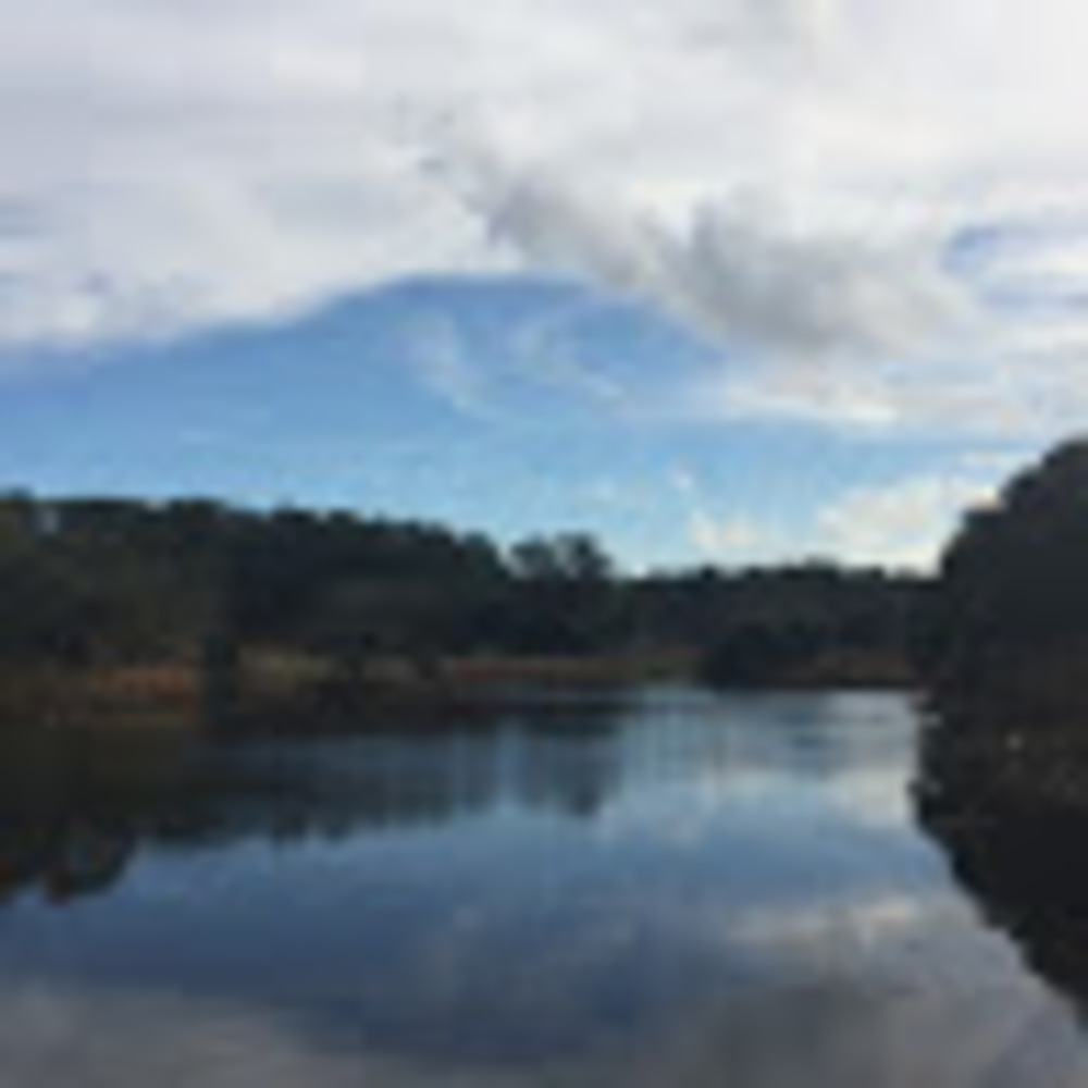 Meet your Posher, Elle